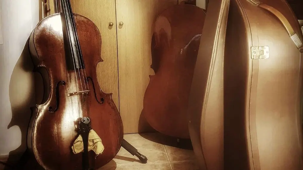 ambiente complicaciones de repuesto ▷ Campus Online: Clases de Cello Presenciales | Cellomaniacos